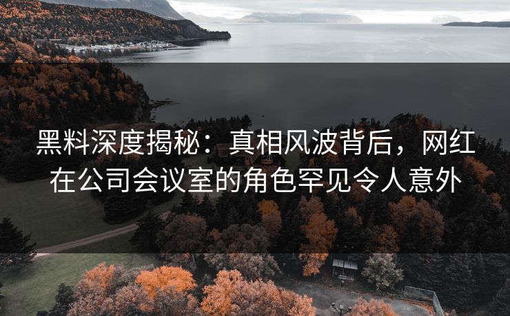 黑料深度揭秘：真相风波背后，网红在公司会议室的角色罕见令人意外